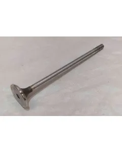 Exhaust Valves