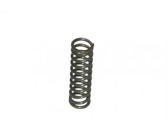 Compression spring