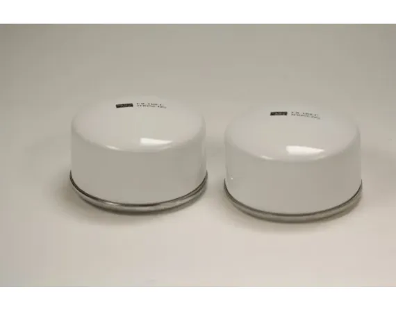 Replaceable filter SpinOn A105C05