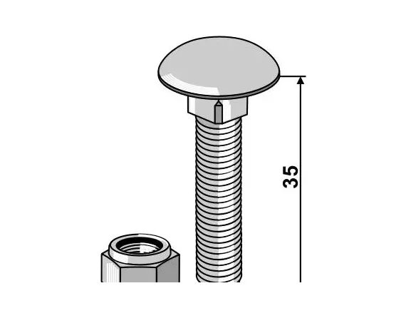 Carriage bolt
