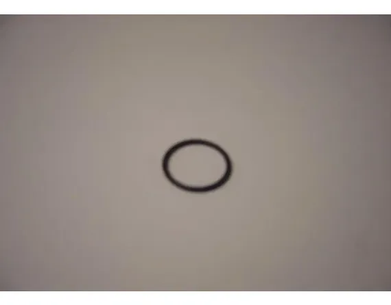 O-ring