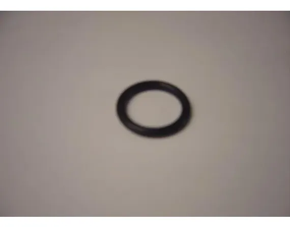 O-ring