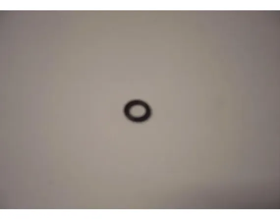 O-ring