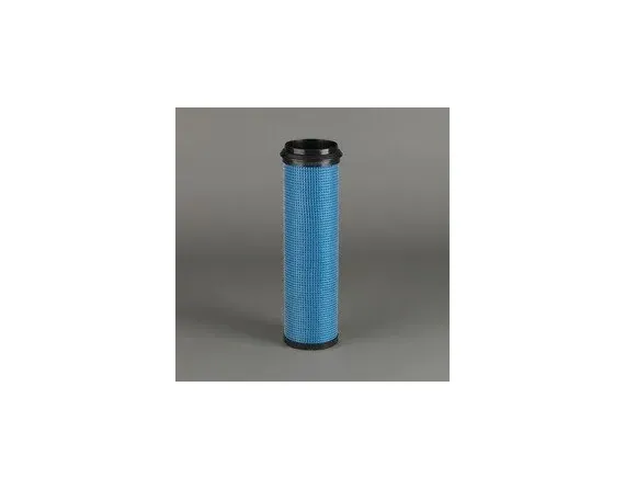 SICUREZZA FILTRO ARIA P776695