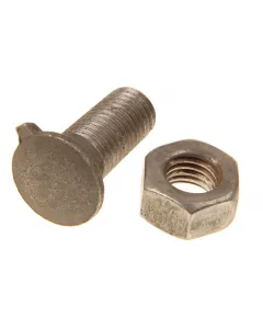 Shoe screw