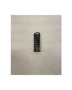 SPRING VALVE NT855 111446