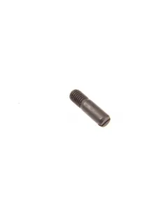 Shaft screw
