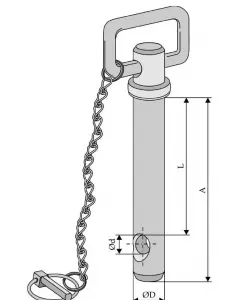 Pin with chain