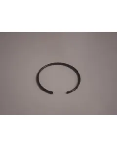 Snap ring
