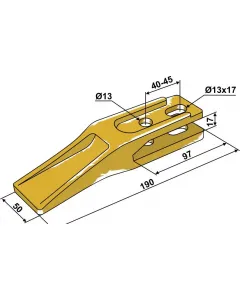 Standard tooth for Fr