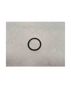 O RING NT855 193301