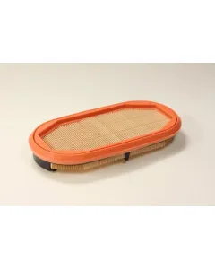 Elemento del filtro dell'aria (elemento secondario) CF 2631