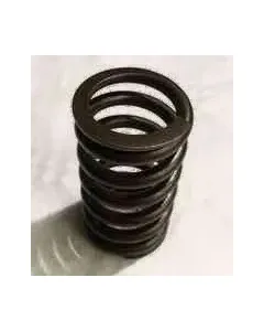 SPRING VALVE 6C S6D114 3906412