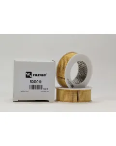air filter element B250C10