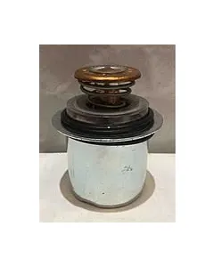 THERMOSTAT 6C QSC S6D114 QSL 180 5284903