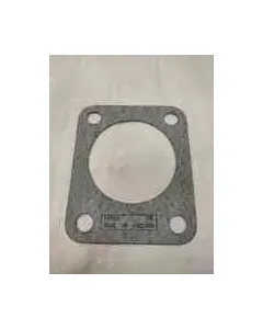 GASKET L10 553916
