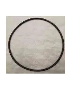 USZCZELKA O-RINGOWA S6D125 700006240