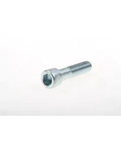 Allen screw