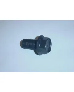locking screw