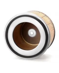 Elemento del filtro dell'aria AF26473