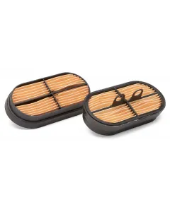 Elemento del filtro dell'aria AF26655