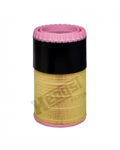 Elemento filtro dell'aria E1674L