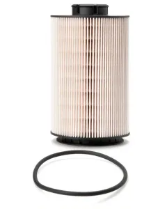 FF5769 Fuel Filter element