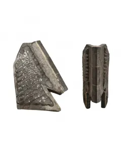 Cultivator ploughshares