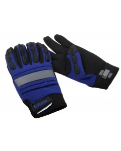 Pair of gloves