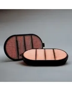 AIR FILTER SAFETY OBROUND P601560