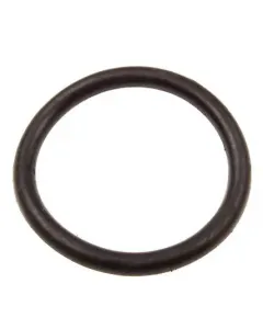 Sealing ring