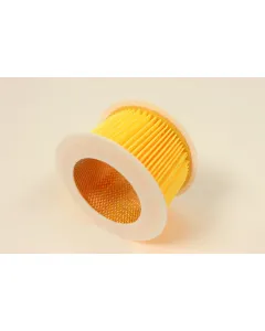 SA 12666 air filter element