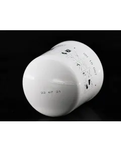Wh 10 007 Change filter